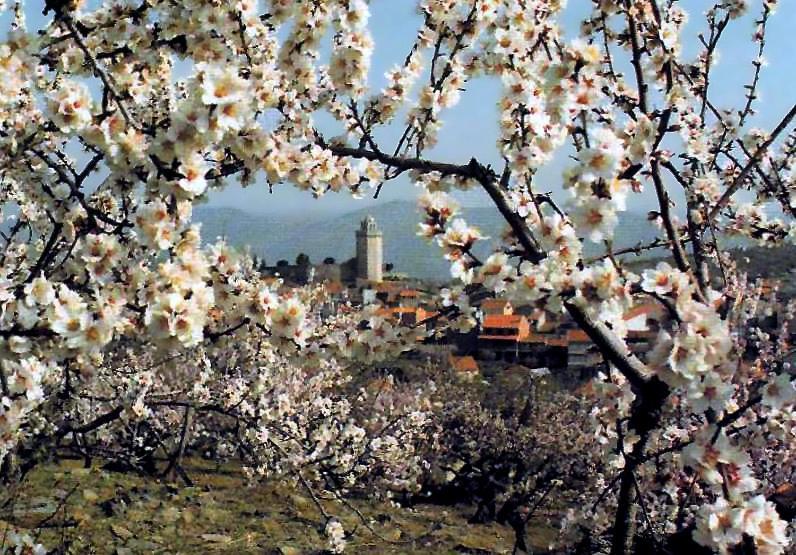 Moradias Do Douro Internacional Villa Freixo de Espada a Cinta Luaran gambar