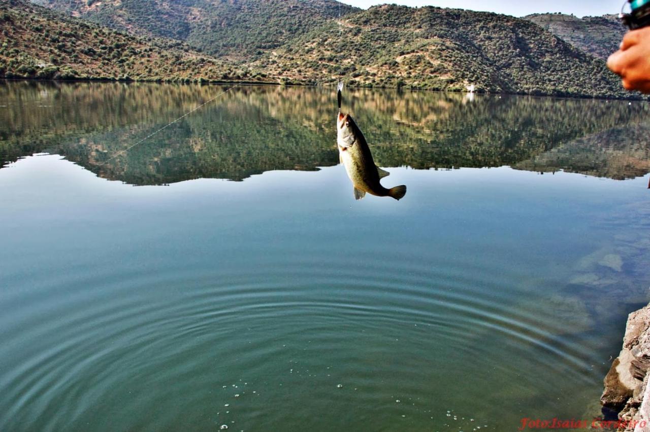 Moradias Do Douro Internacional Villa Freixo de Espada a Cinta Luaran gambar