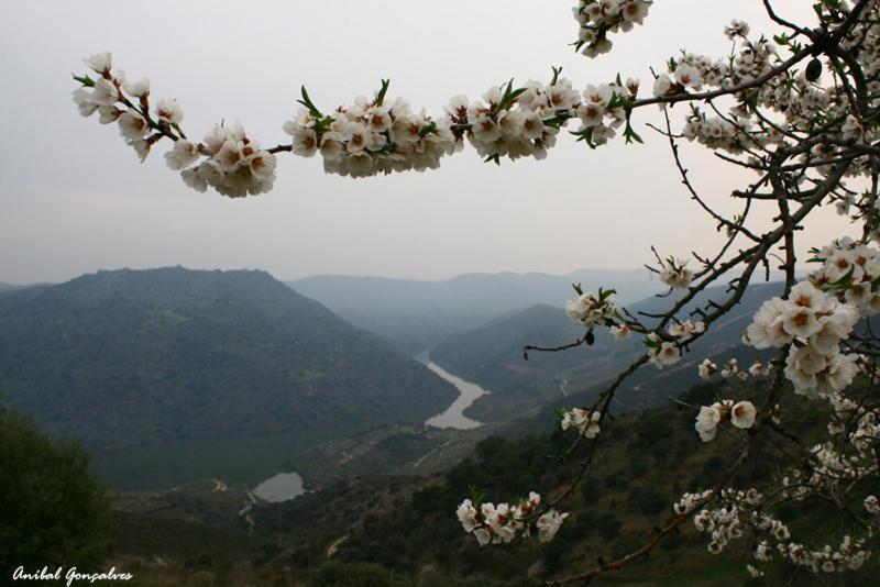 Moradias Do Douro Internacional Villa Freixo de Espada a Cinta Luaran gambar