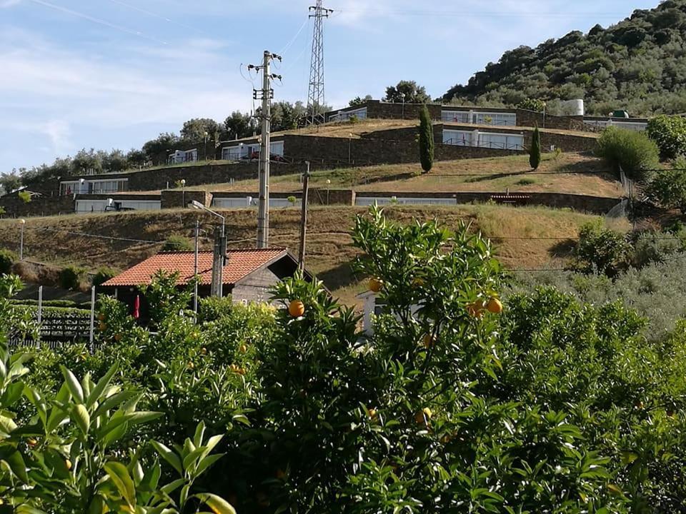 Moradias Do Douro Internacional Villa Freixo de Espada a Cinta Luaran gambar