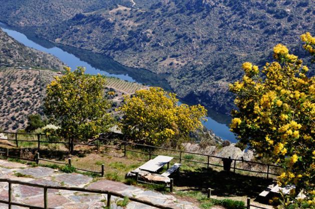 Moradias Do Douro Internacional Villa Freixo de Espada a Cinta Luaran gambar